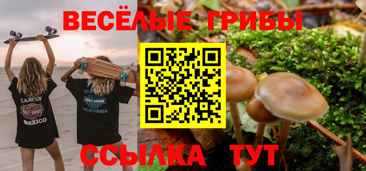 Псилоцибиновые грибы Magic Shrooms Гуково